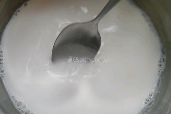 姜撞奶的做法图解5