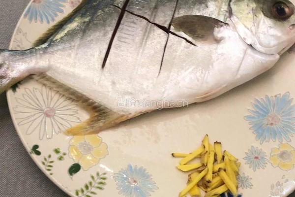 粤式－酸梅蒸金鲳鱼的做法图解1