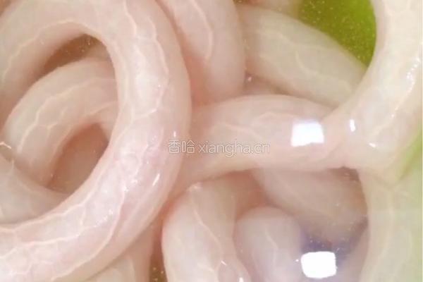 草根小肠汤的做法图解1