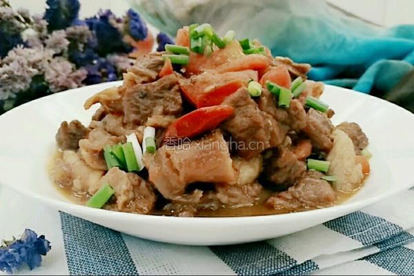 番茄烧牛腩的做法图解13