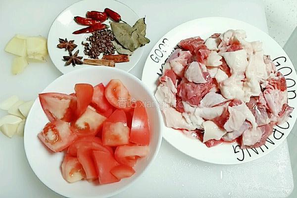 番茄烧牛腩的做法图解2