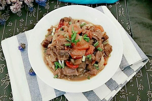 番茄烧牛腩的做法图解12