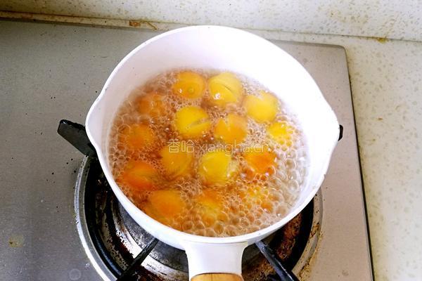 冰糖金桔的做法图解4