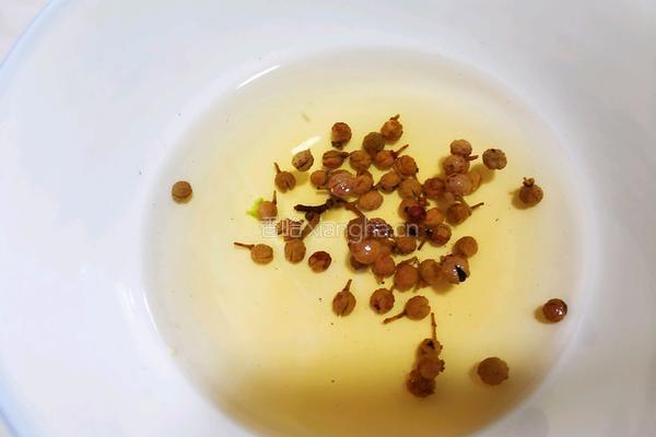 白菜水饺的做法图解5