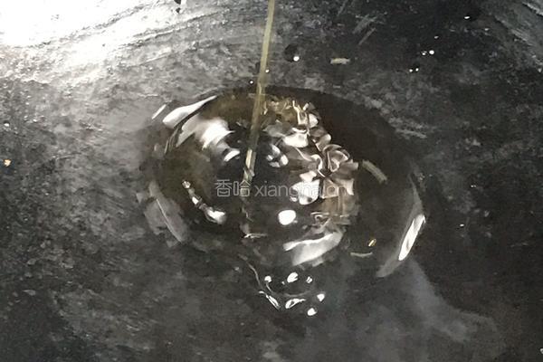 柴火豆腐干的做法图解4