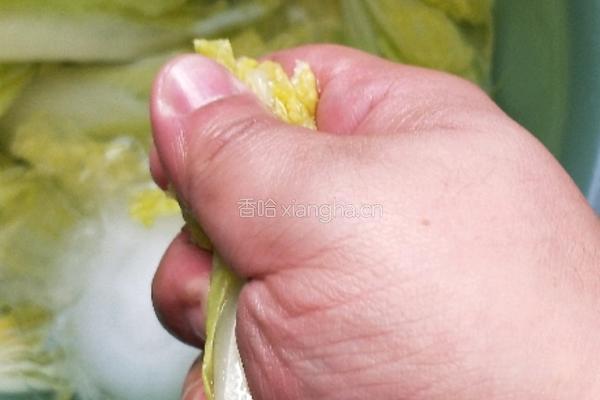 开水白菜的做法图解24