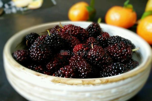 桑椹水果茶的做法图解1