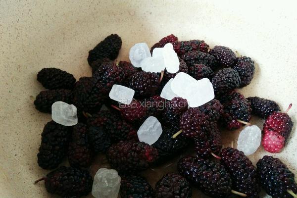 桑椹水果茶的做法图解2