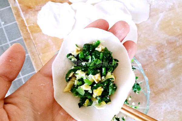 菠菜鸡蛋饺子的做法图解17