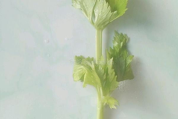 一帆风顺（满载而归）的做法图解19