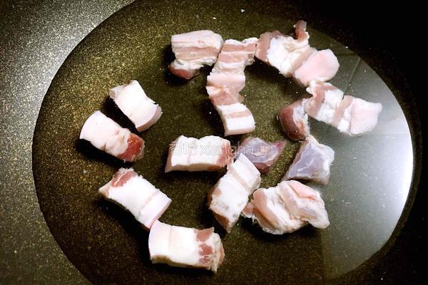 猪肉炖粉条的做法图解3