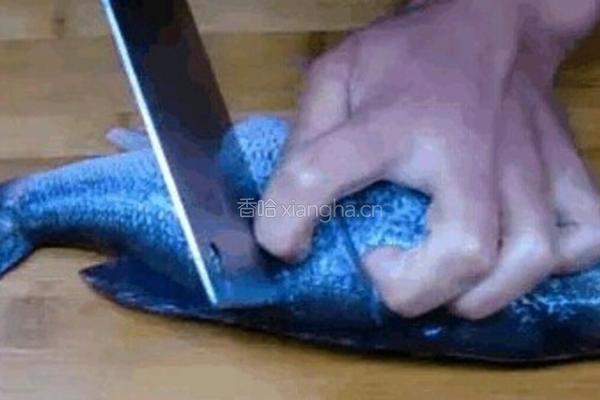 烧鱼的做法图解2
