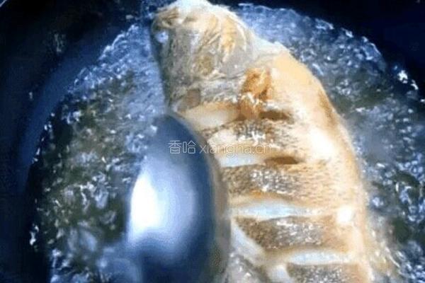 烧鱼的做法图解5
