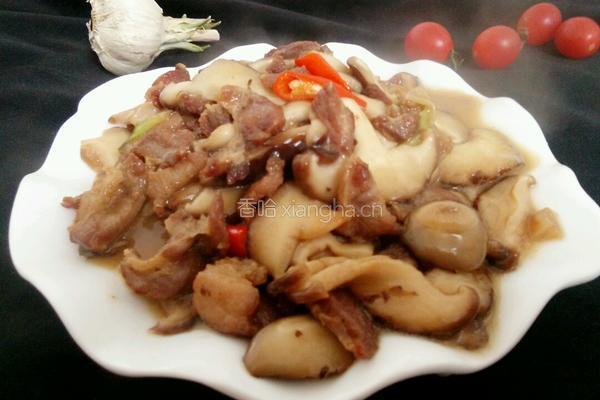 香菇炒肉的做法图解7