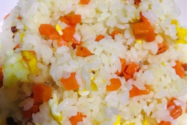 鸡胸肉烩饭的做法图解9