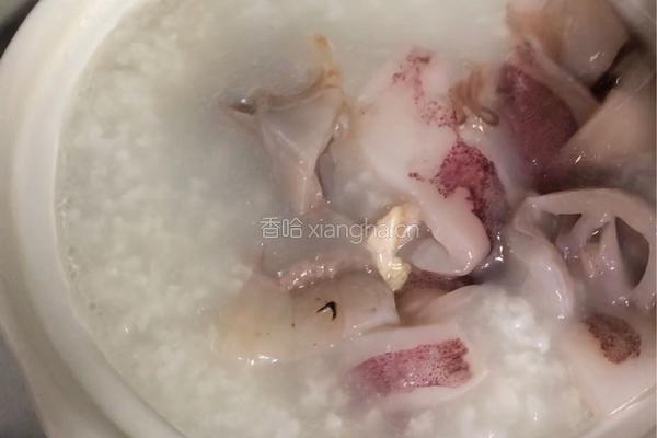 鲜鱿瘦肉粥的做法图解5