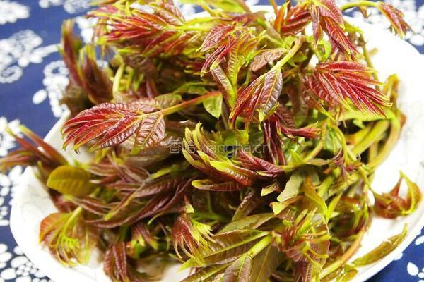 香椿芽拌花生米的做法图解1