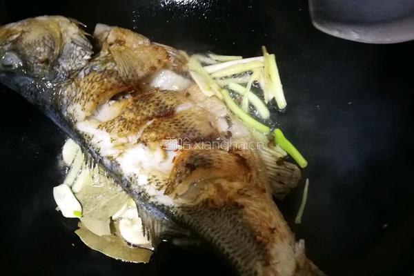 红烧淡水鲈鱼的做法图解4