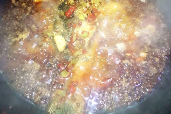 麻辣家常鲫鱼（简单）的做法图解4