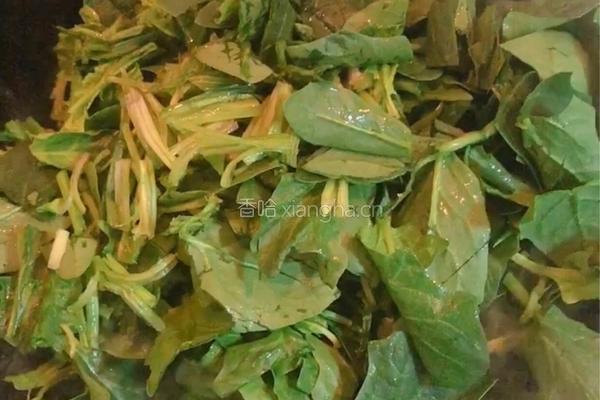菠菜炒蛋的做法图解4
