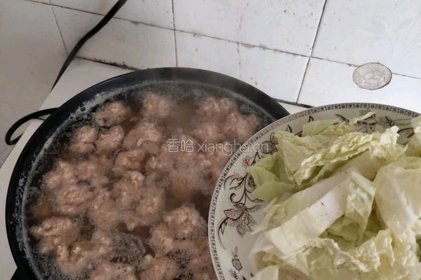 白菜豆腐丸子汤的做法图解9