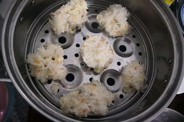 减肥必备之无油鸡胸肉丸的做法图解3