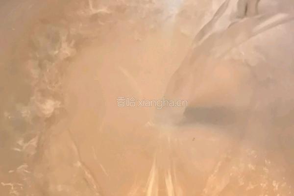 鲜橙元宵的做法图解2