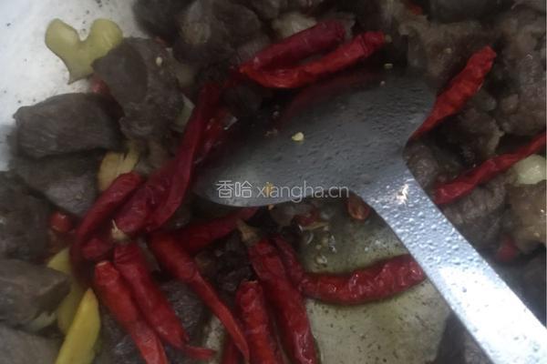 牛肉煨胡萝卜?的做法图解4