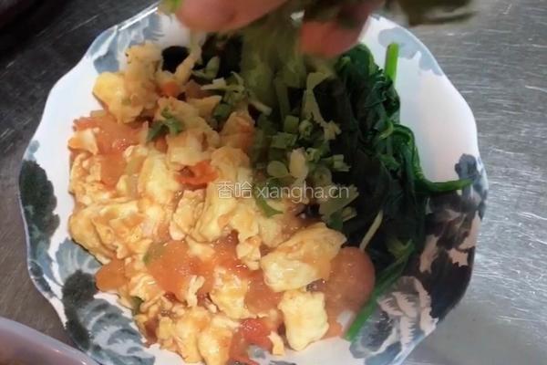 西红柿鸡蛋拌面的做法图解15