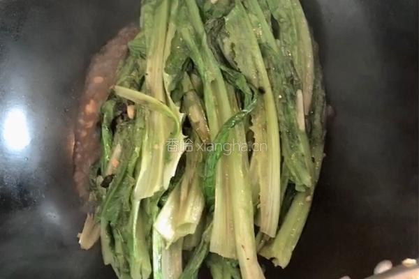 豆豉蒜蓉油麦菜的做法图解4