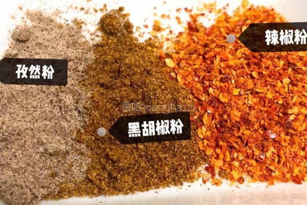 蜜汁烤鸡腿的做法图解1