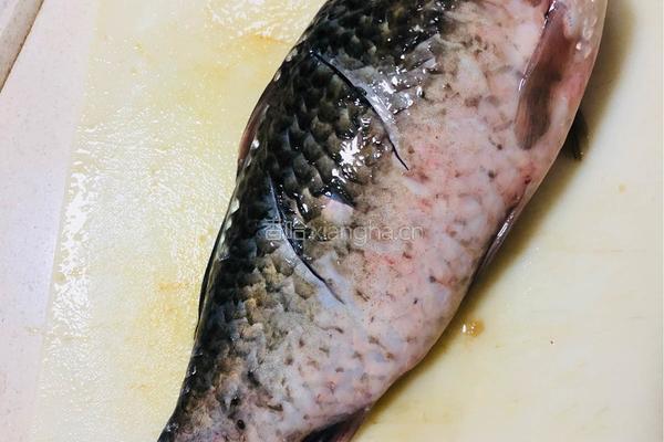 鲫鱼豆腐汤的做法图解1