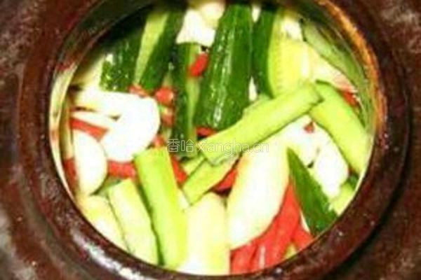 自腌黄瓜小咸菜的做法图解12