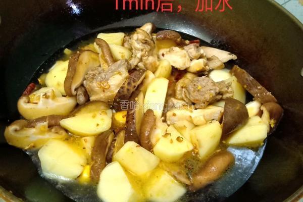 香菇土豆焖鸡块的做法图解6