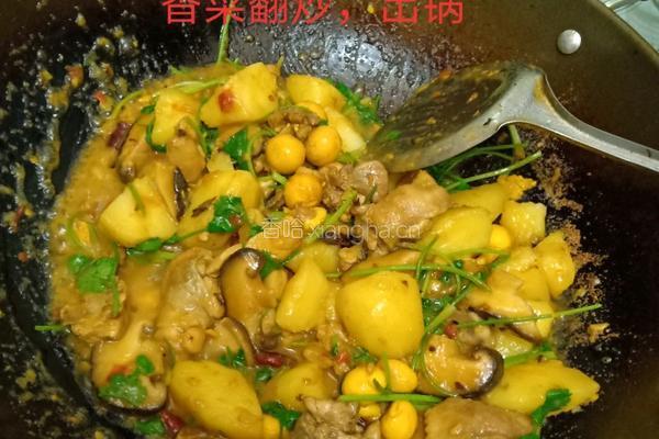 香菇土豆焖鸡块的做法图解11