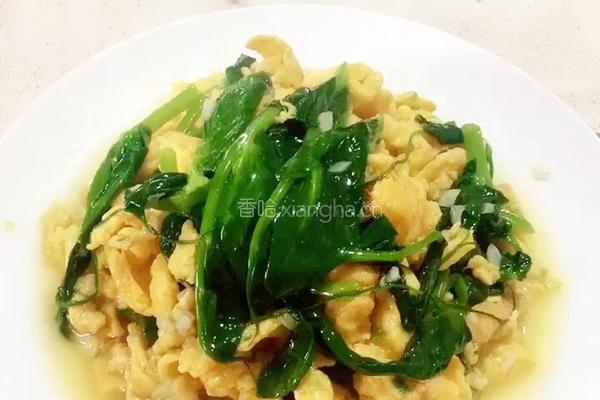 （正月十五闹元宵）豌豆尖炒鸡蛋的做法图解9