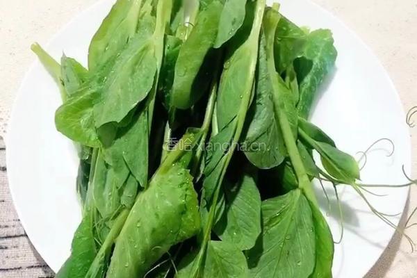 （正月十五闹元宵）豌豆尖炒鸡蛋的做法图解2