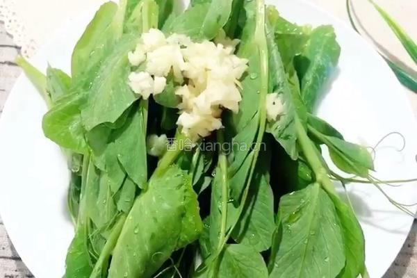 （正月十五闹元宵）豌豆尖炒鸡蛋的做法图解5