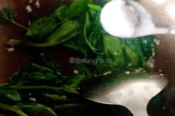 （正月十五闹元宵）豌豆尖炒鸡蛋的做法图解7