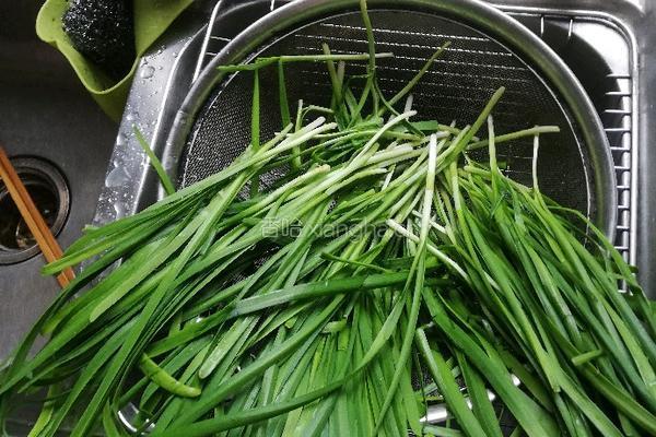 韭菜煎饼菜盒的做法图解1