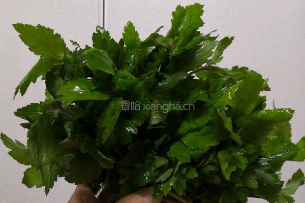 真珠花菜汤的做法图解2