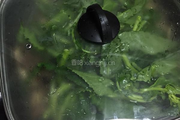 翡翠拌的做法图解9