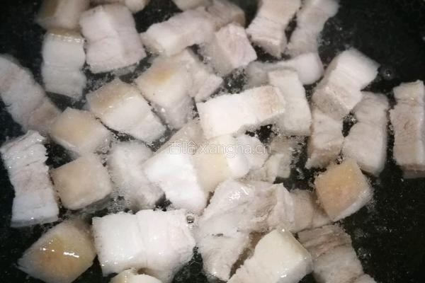 啤酒红烧肉的做法图解5