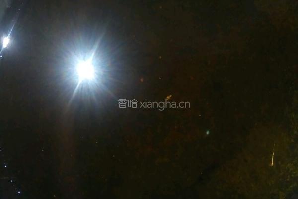 脆皮巧力元宵的做法图解2