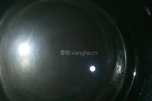 椰奶燕麦元宵的做法图解2