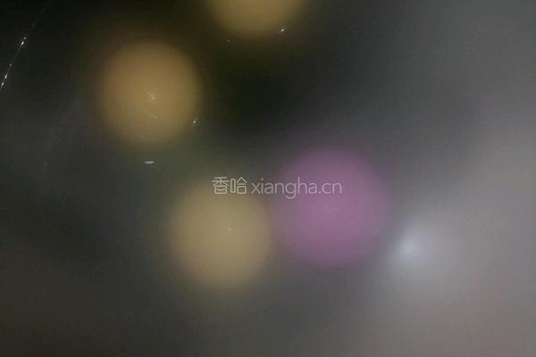 椰奶燕麦元宵的做法图解3