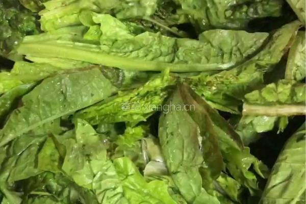豆豉鲮鱼油麦菜的做法图解4