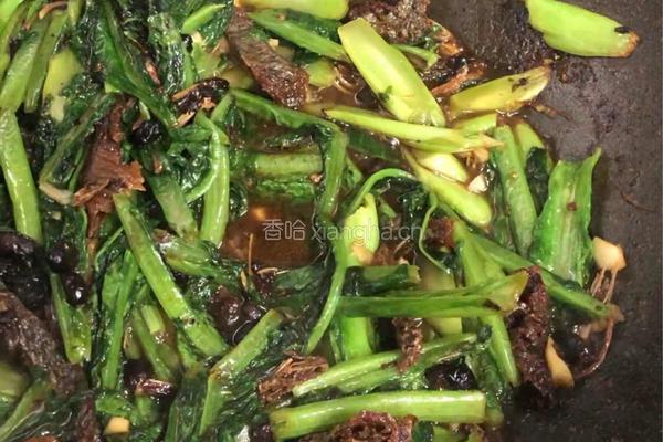 豆豉鲮鱼油麦菜的做法图解9