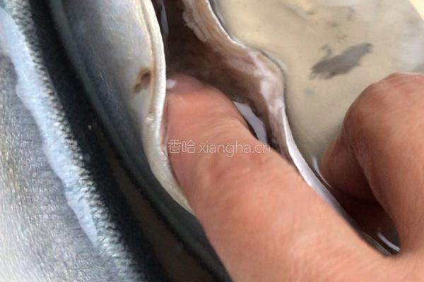 烤秋刀鱼的做法图解2
