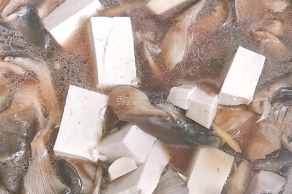 蘑菇炖豆腐的做法图解8